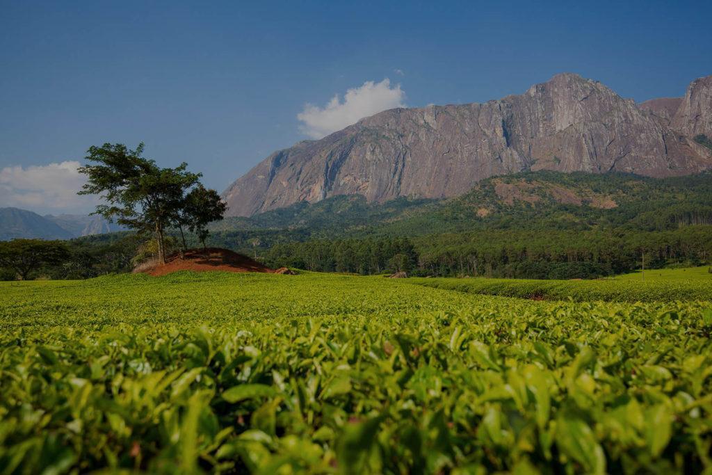 Mountain-in-Malawi